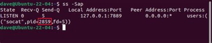 How to Kill a Linux Process by Port Number