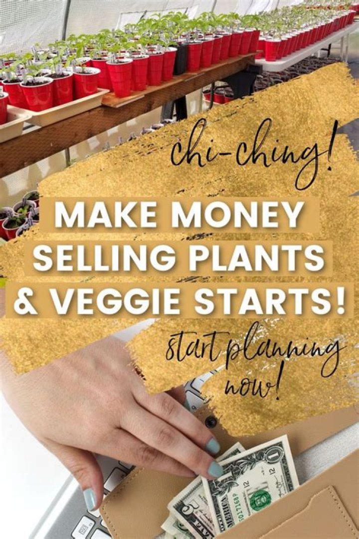 How to make money growing vegetables