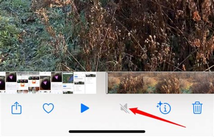How to Remove Audio from a Video Before Sharing It on iPhone