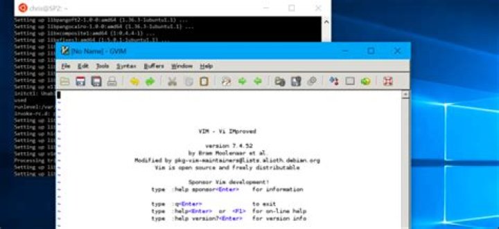 How to run graphical linux desktop applications from windows 10’s bash shell