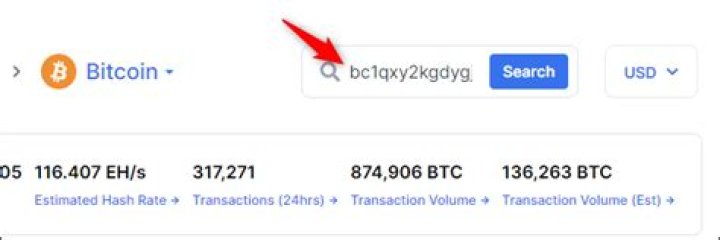 How to see how much money has been sent to a bitcoin address