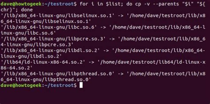 How to use the chroot command on linux