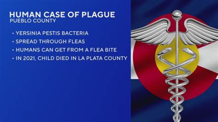 Human plague case in Oregon: Will it spread?