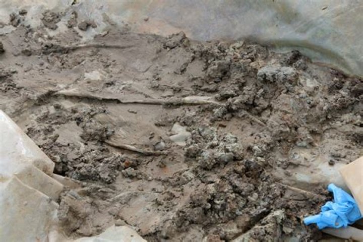 Human skeleton discovered down well in Greek resort of Malia close to where Brit tourist Steven Cook vanished 12 years ago