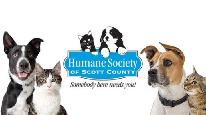 Humane Society of Scott County to host pet food distribution