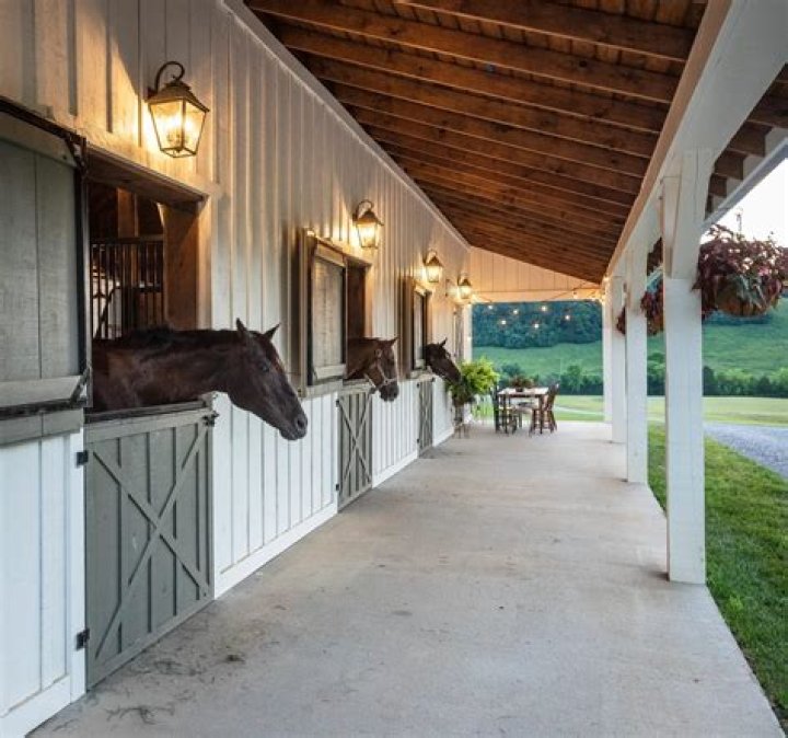 I converted my old horse stables into a country home - it took hard work but we're really proud of how it turned out