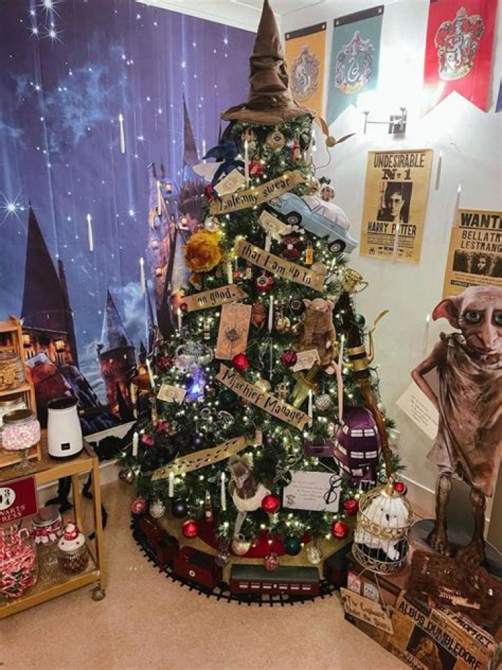 I’ve spent £600 and MONTHS decorating my Harry Potter-themed Christmas tree - I do it every year, it’s an investment