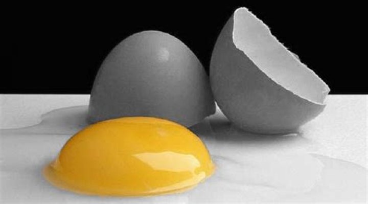 Investors Scrambling to Invest in Chicken-Less Eggs