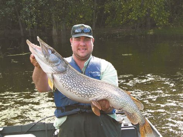 Iowa DNR seeks comments on ‘bottle bill’