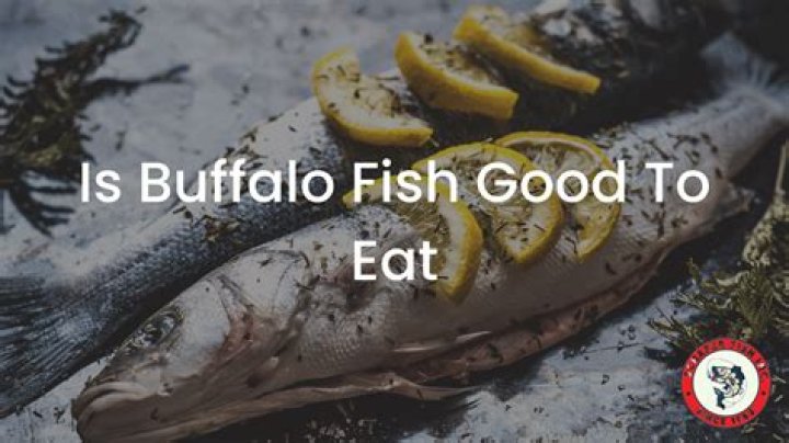 Is buffalo fish good to eat?