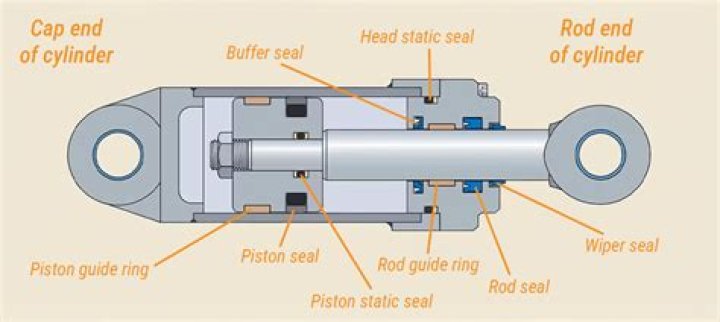 Is Kelly Suwannarat Based on a Real Hydraulic Engineer? Where Are She Now?