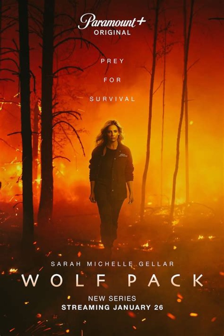 Is Wolf Pack Connected To Teen Wolf?