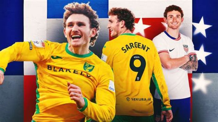 Josh Sargent - National team