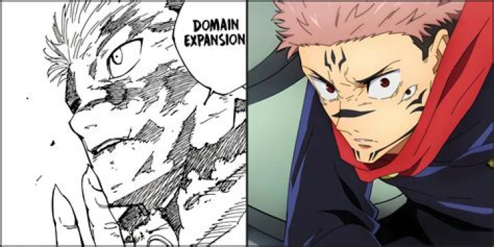 Jujutsu Kaisen: What is Domain Expansion? EXPLAINED