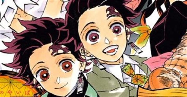Kimetsu no Yaiba Releases First Light Novel in the U.S.