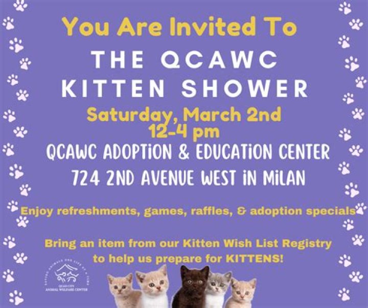 ‘Kitten shower’ helps QCAWC get supplies for kitties