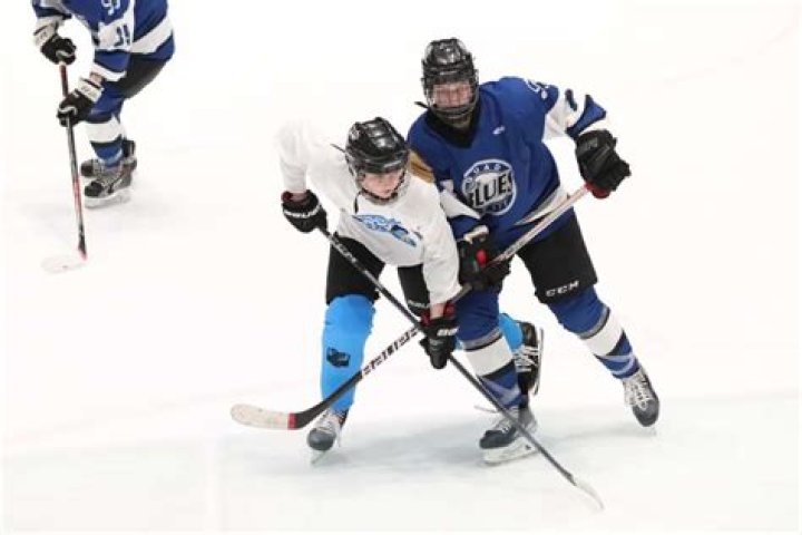 Lady Blues hockey team puts new season on ice