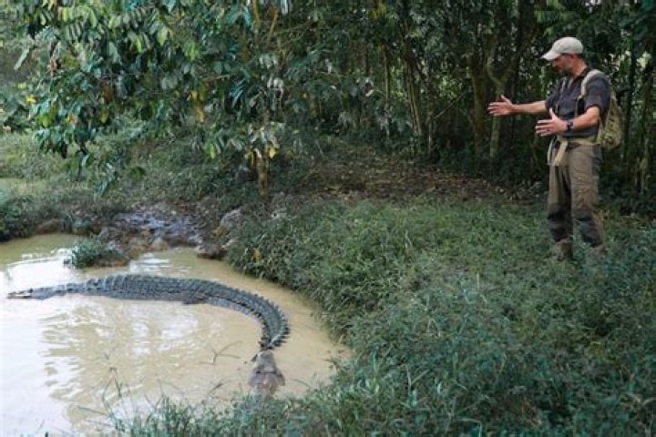 Liberia’s ‘living dinosaur’ Gbahali investigated on Expedition Mungo