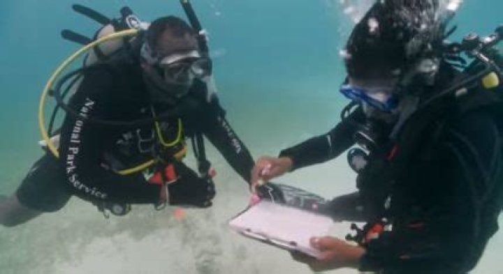 ‘Like Touching the Souls of Your Ancestors’: Team of Black scuba Divers Share Experience of Salvaging Sunken Slave Ships