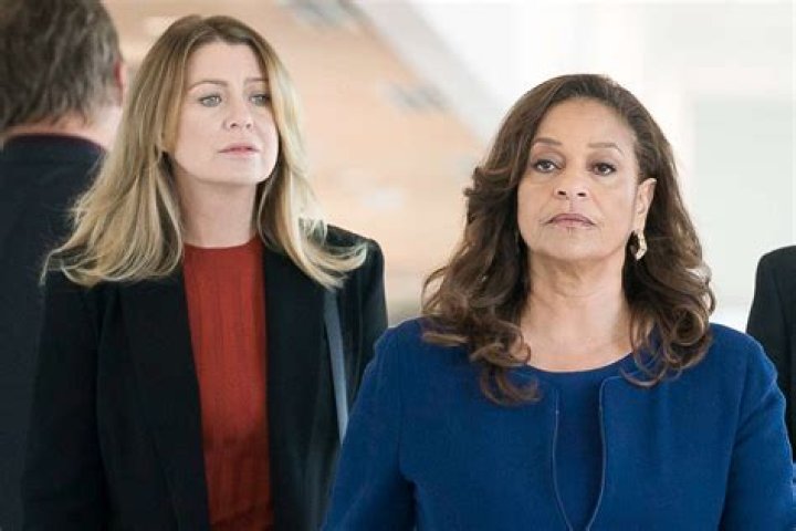 Longtime Grey's Anatomy Fans Agree That The Show Has Found Its New Cristina