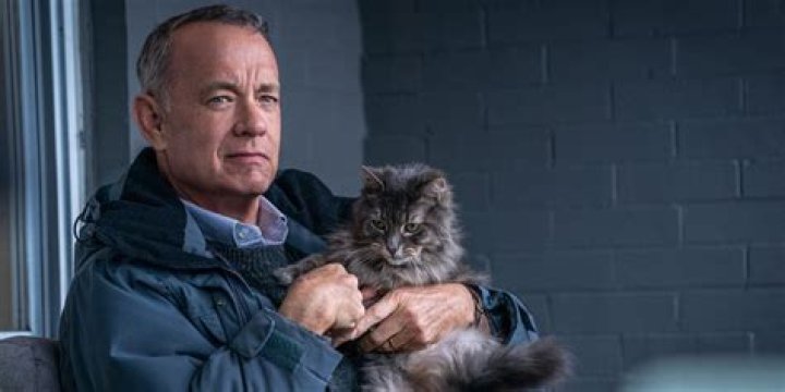 Loved Living? Here Are 8 Movies You Will Also Like