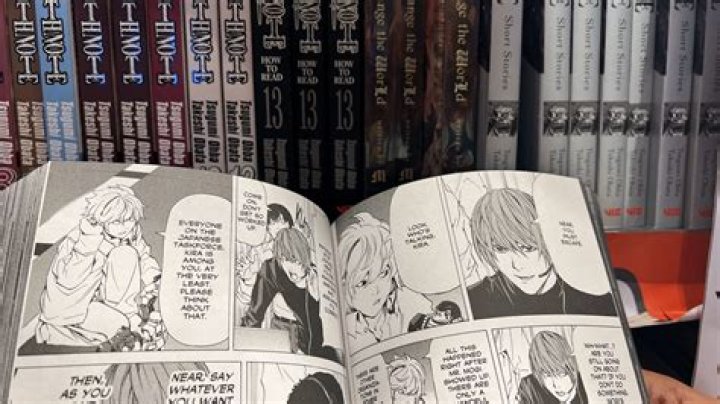 Manga Piracy Report Calls the United States the Top Culprit