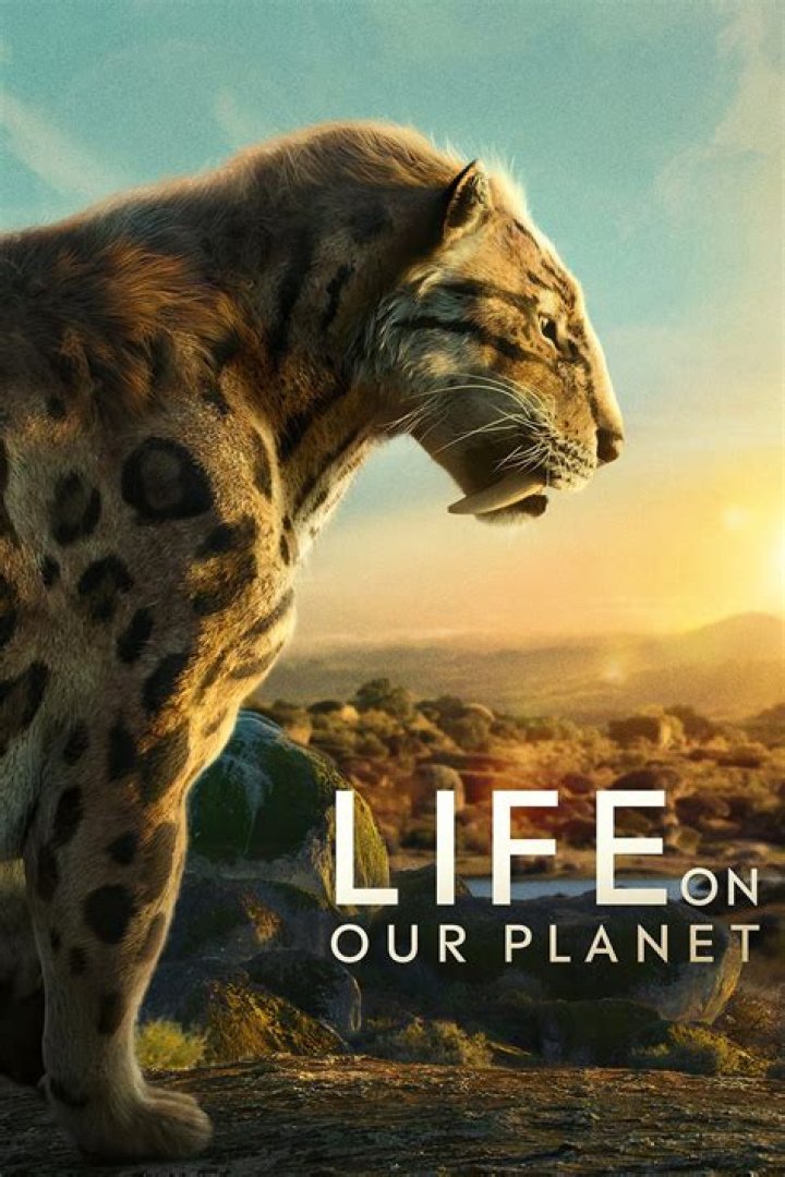 Maya Oakley: The Rising Star In The World Of Wildlife Conservation