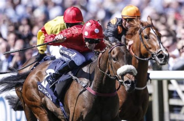 Michael Dods bids fond farewell to Mabs Cross at Tattersalls - but top-class mare goes unsold