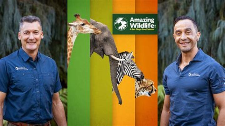 Michael Fanelli Obituary-Death News; Associate Director Of Capital Projects At San Diego Zoo Wildlife Alliance Is Dead
