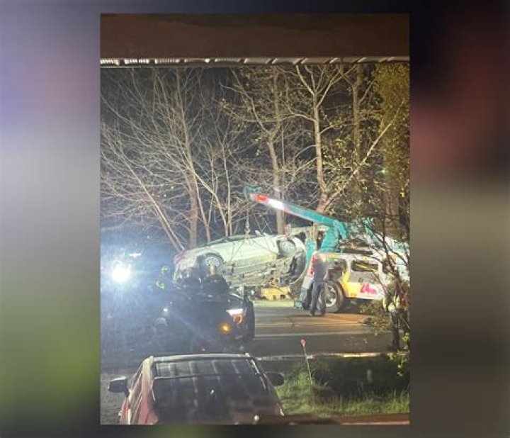 Michael Rosingana from Macomb Township killed in fatal car accident: obituary