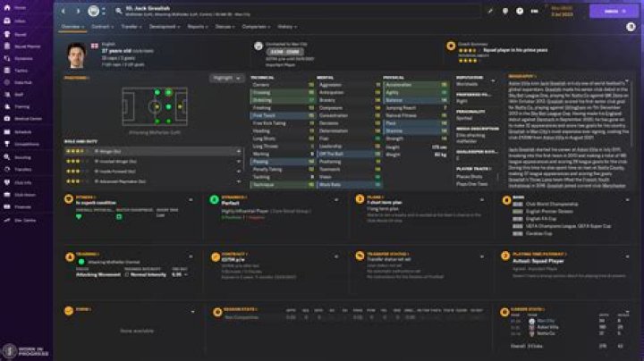 Milan Radulovic - Manager profile