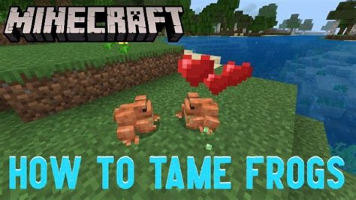 Minecraft: How to Tame Frogs