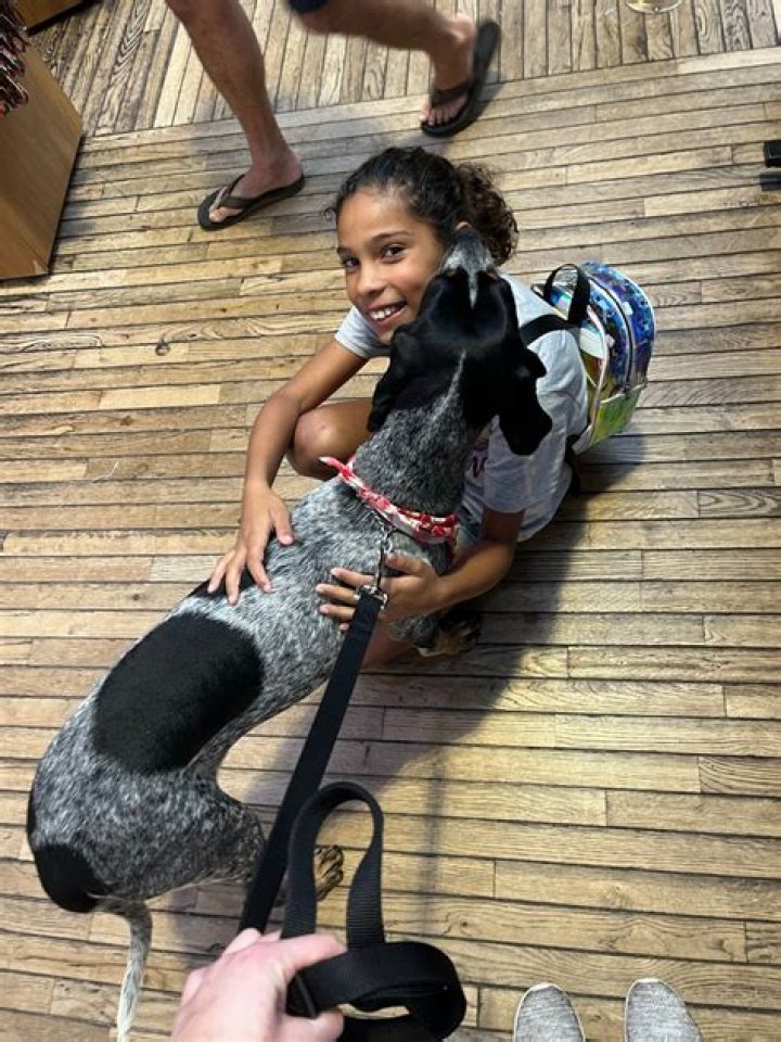 Moline therapy dog ready for paw patrol