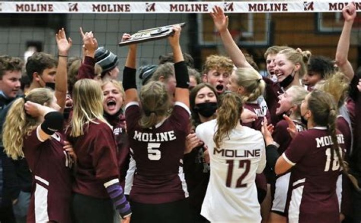 Moline volleyball wins in straights sets over Sterling