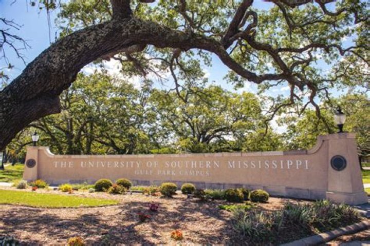 Monique Montgomery, The University of Southern Mississippi alumnus, passes away suddenly