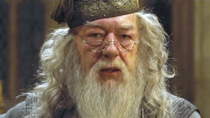 Most Memorable Dumbledore Quotes In The Harry Potter Movies