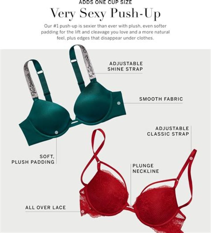 My new Victoria's Secret pushup bra does wonders for my B-cups - it makes them look like Cs and is the most comfortable