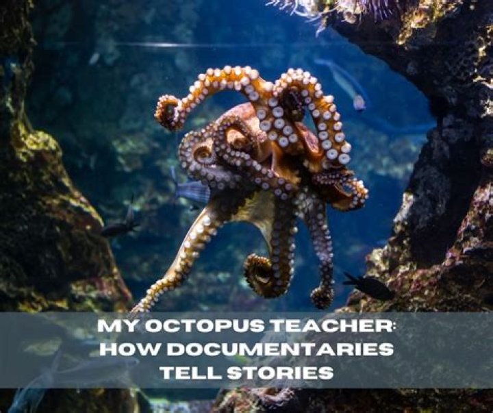 My Octopus Teacher’s Craig Foster: Everything We Know