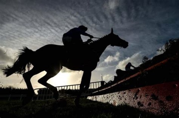 Neil Mulholland News | Latest Headlines & Updates
