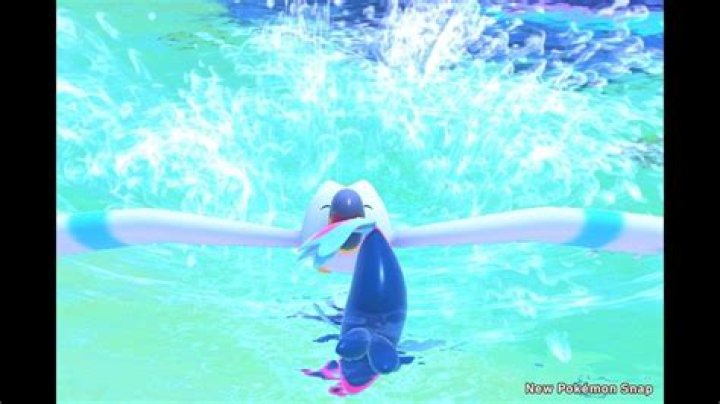 New Pokemon Snap Reminds Players That Fish Pokemon Have it Rough