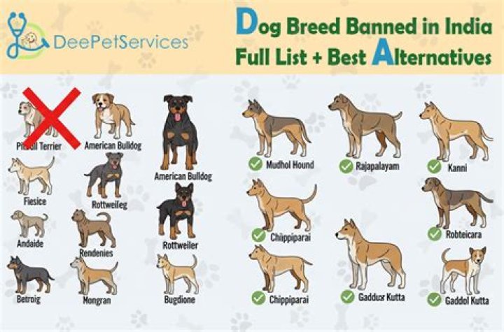 New proposal could lift dog-breed bans in Iowa