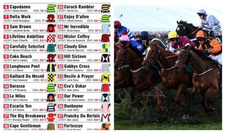 Newmarket racecard, results and TV schedule: Today’s tips, runners, results and stats for the meeting live on Racing UK this Thursday, May 17