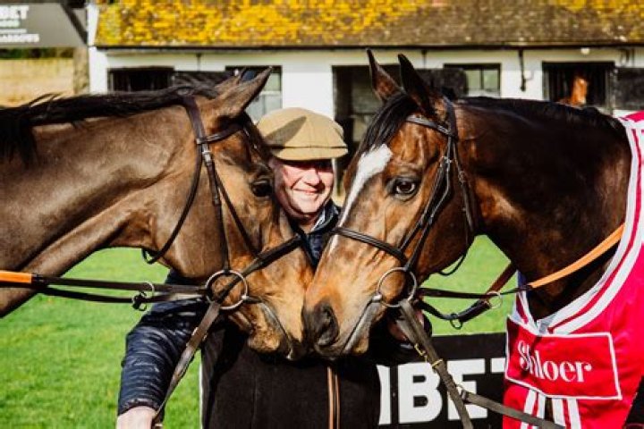 Nicky Henderson poaches two unbeaten horses worth £630,000 from rival's yard