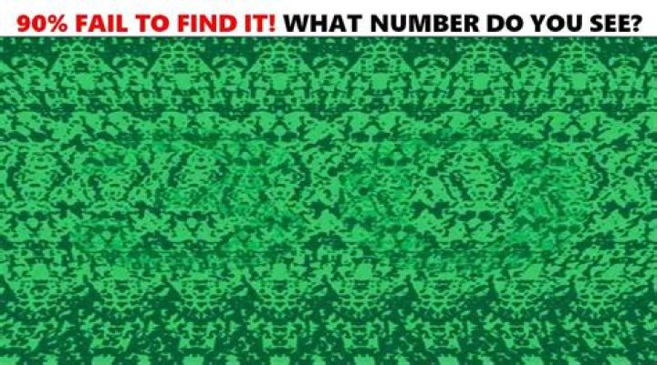 Observation Brain Test: If you have Eagle Eyes Find the Number 98 in 10 Secs