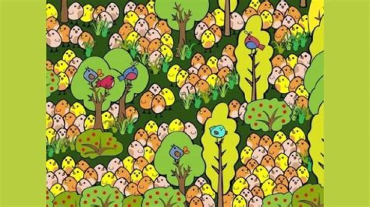Observation Visual Test: Can you Find the word Life in 8 Secs