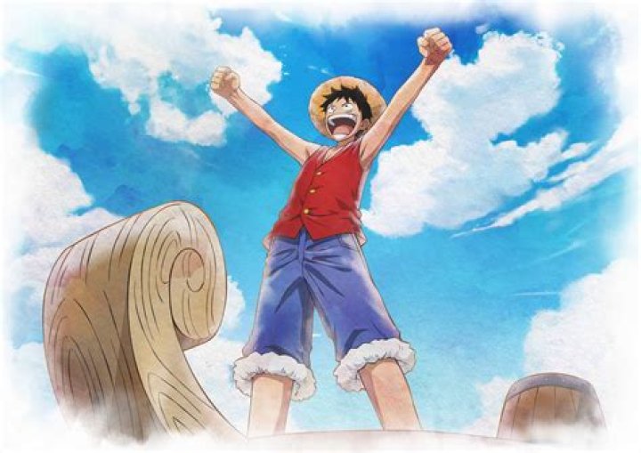 One Piece Fans Celebrate Monkey D. Luffy's Birthday
