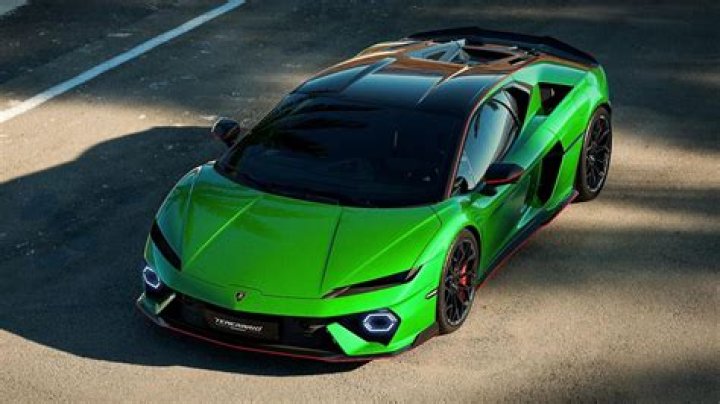 Patrizia Lamborghini Net Worth 2024