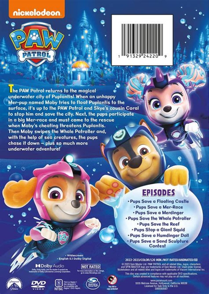 Paw Patrol Characters: An In-Depth Look At The Beloved Canine Heroes