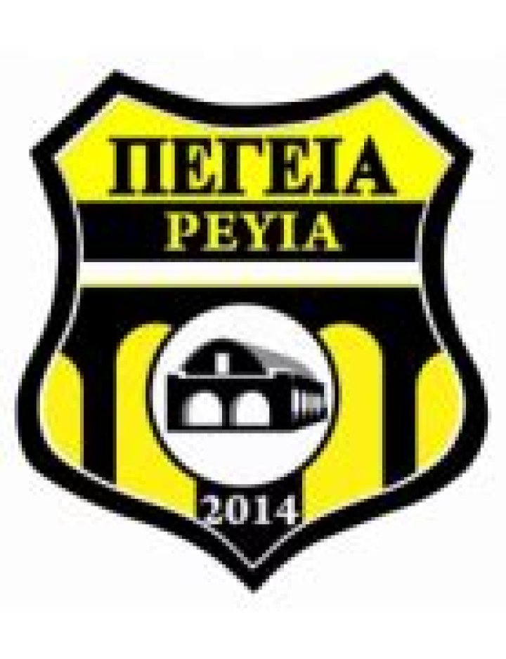 Pegia 2014 - Club profile
