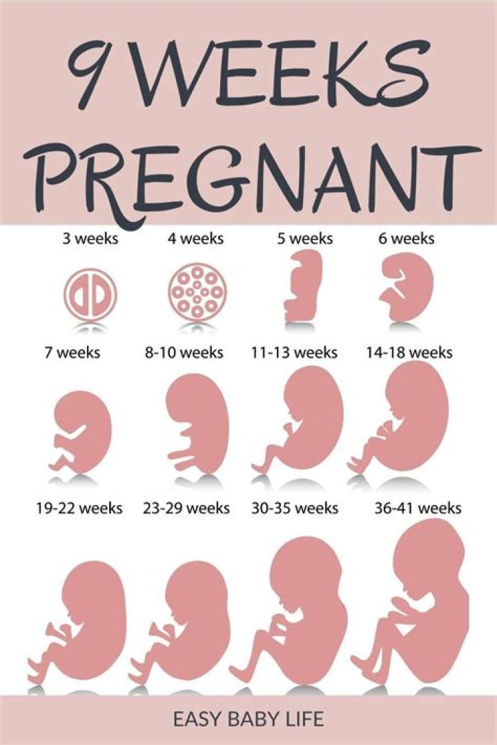 People call me 'Fertile Mertile' - I gave birth, got pregnant 9 weeks later, now 6 months on I'm having baby number 3
